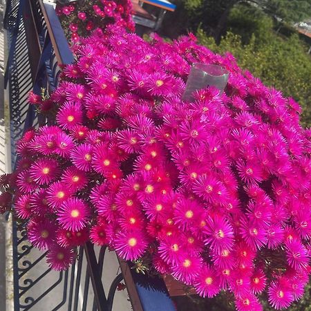 Bougainvillea Relais Соренто Екстериор снимка